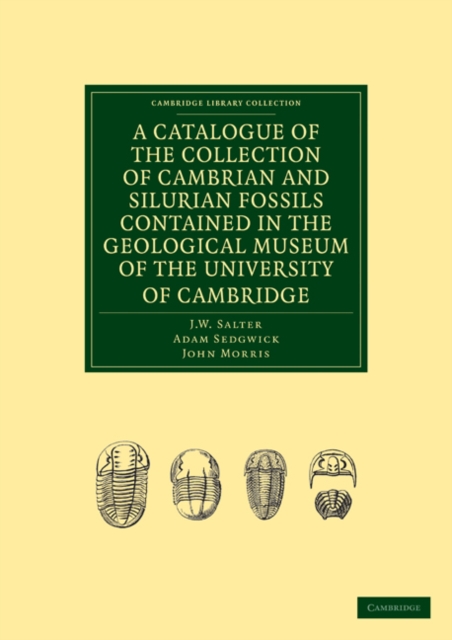 A Catalogue of the Collection of Cambrian and Silurian Fossils Contained in the Geological Museum of the University of Cambridge, Paperback / softback Book