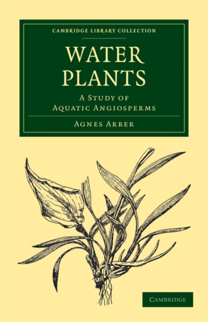 Water Plants : A Study of Aquatic Angiosperms, Paperback / softback Book