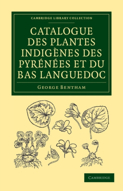 Catalogue des plantes indigenes des Pyrenees et du Bas Languedoc : Avec des notes et observations sur les especes nouvelles ou peu connues, Paperback / softback Book