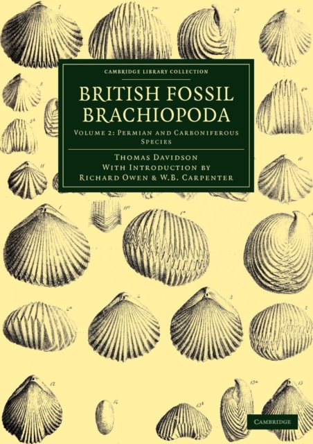 British Fossil Brachiopoda, Paperback / softback Book