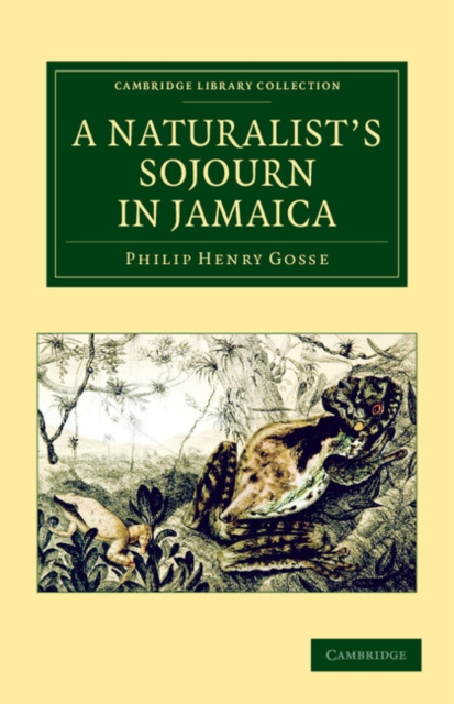 A Naturalist's Sojourn in Jamaica, Paperback / softback Book