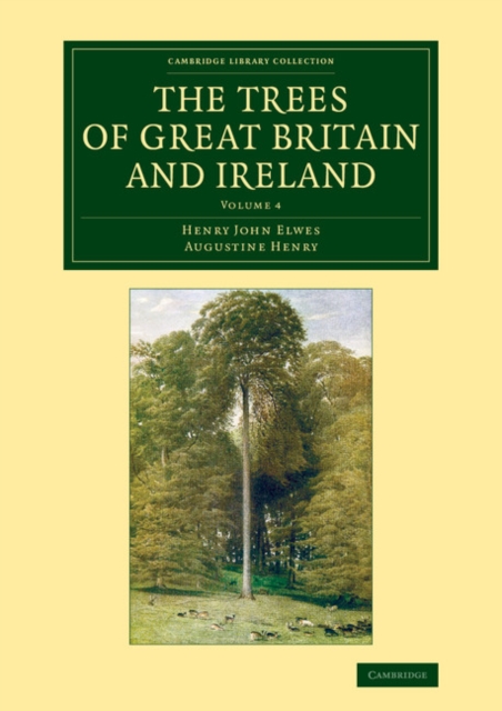 The Trees of Great Britain and Ireland, Paperback / softback Book