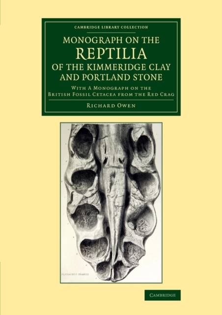 Monograph on the Reptilia of the Kimmeridge Clay and Portland Stone : With a Monograph on the British Fossil Cetacea from the Red Crag, Paperback Book