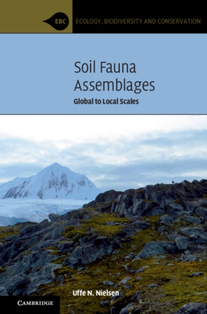 Soil Fauna Assemblages : Global to Local Scales, EPUB eBook