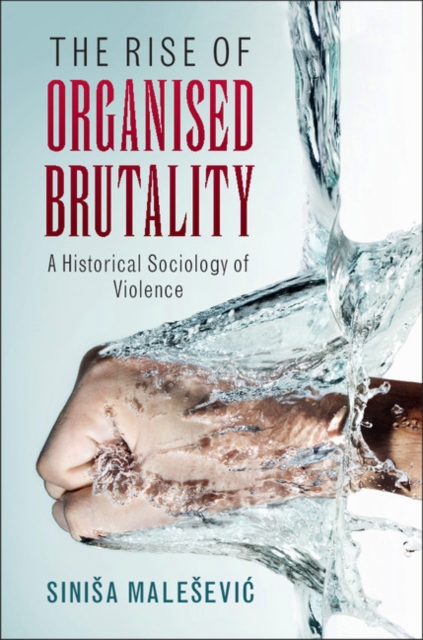 Rise of Organised Brutality : A Historical Sociology of Violence, EPUB eBook