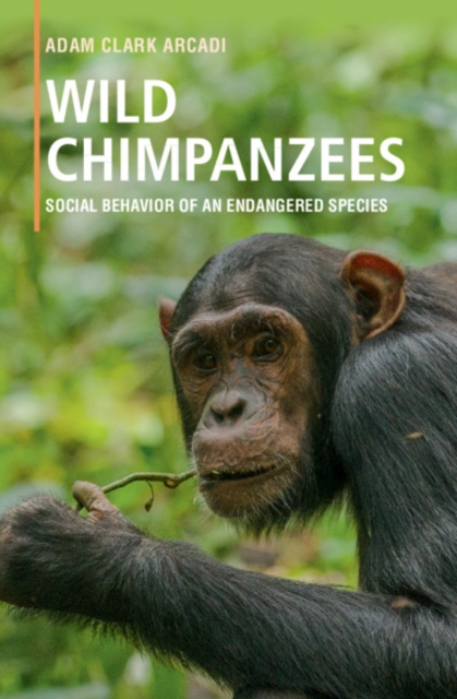 Wild Chimpanzees : Social Behavior of an Endangered Species, EPUB eBook