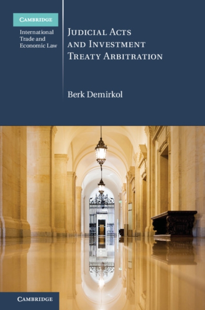 Judicial Acts and Investment Treaty Arbitration, EPUB eBook