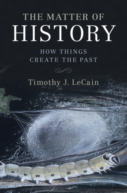 Matter of History : How Things Create the Past, EPUB eBook