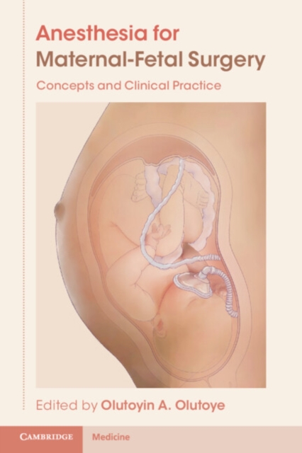 Anesthesia for Maternal-Fetal Surgery : Concepts and Clinical Practice, EPUB eBook