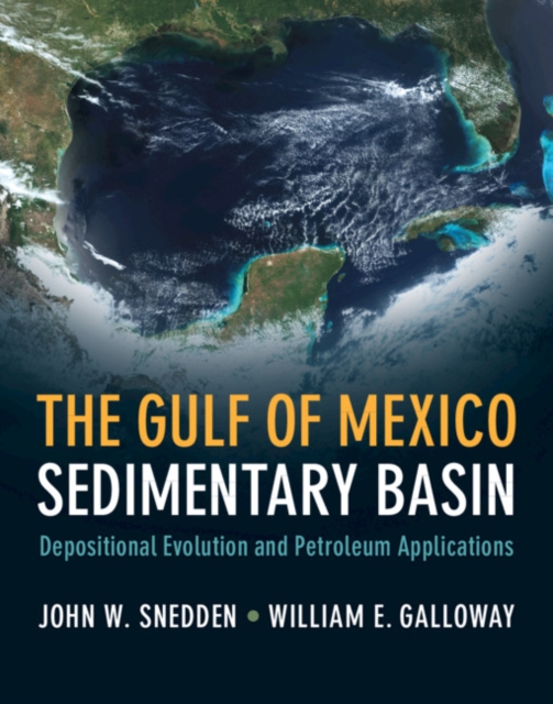 Gulf of Mexico Sedimentary Basin : Depositional Evolution and Petroleum Applications, PDF eBook