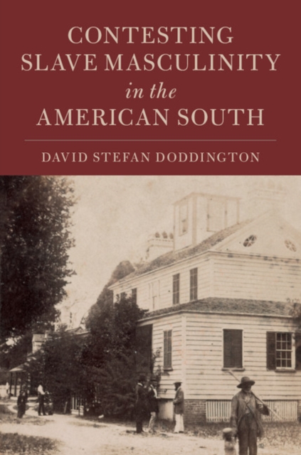 Contesting Slave Masculinity in the American South, Hardback Book