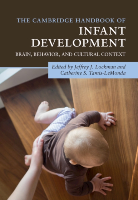The Cambridge Handbook of Infant Development : Brain, Behavior, and Cultural Context, Hardback Book