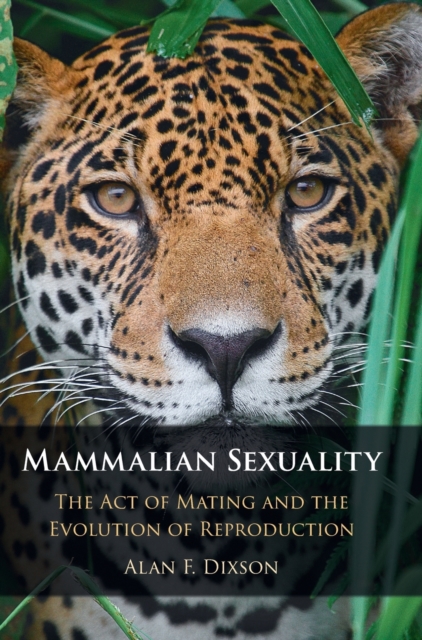 Mammalian Sexuality : The Act of Mating and the Evolution of Reproduction, Hardback Book