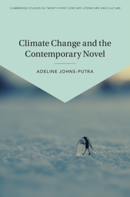 Climate Change and the Contemporary Novel, Hardback Book