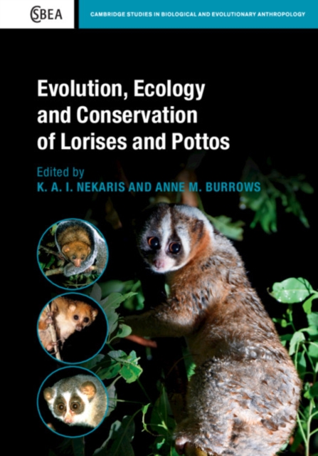 Evolution, Ecology and Conservation of Lorises and Pottos, Hardback Book