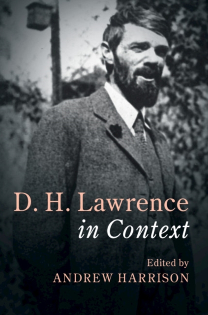D. H. Lawrence In Context, Hardback Book
