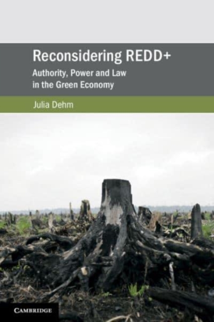 Reconsidering REDD+ : Authority, Power and Law in the Green Economy, Paperback / softback Book