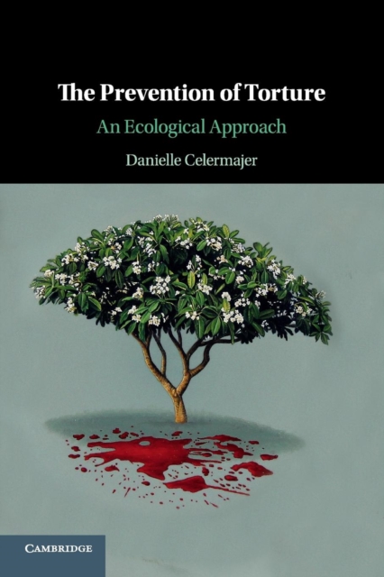 The Prevention of Torture : An Ecological Approach, Paperback / softback Book