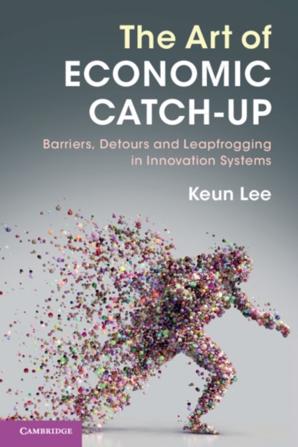 The Art of Economic Catch-Up : Barriers, Detours and Leapfrogging in Innovation Systems, Paperback / softback Book