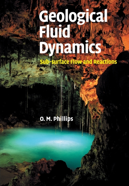 Geological Fluid Dynamics : Sub-surface Flow and Reactions, Paperback / softback Book