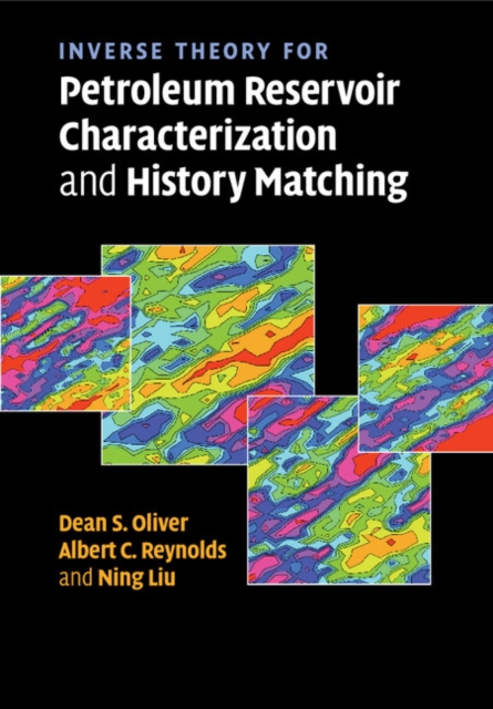 Inverse Theory for Petroleum Reservoir Characterization and History Matching, Paperback / softback Book