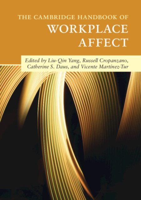 The Cambridge Handbook of Workplace Affect, Paperback / softback Book