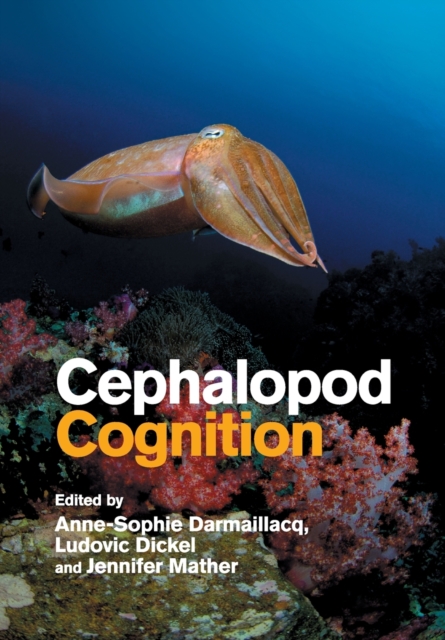 Cephalopod Cognition, Paperback / softback Book