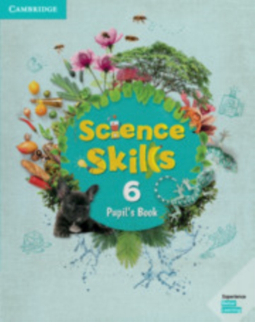 Science Skills Level 6 Pupil's Book, Paperback / softback Book