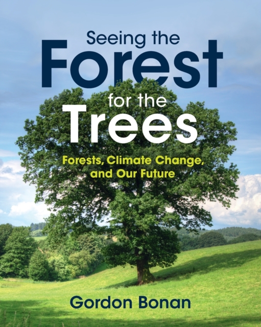 Seeing the Forest for the Trees : Forests, Climate Change, and Our Future, Paperback / softback Book