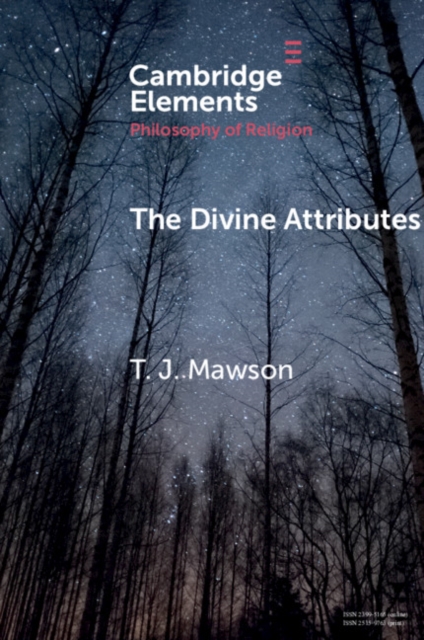 The Divine Attributes, Paperback / softback Book