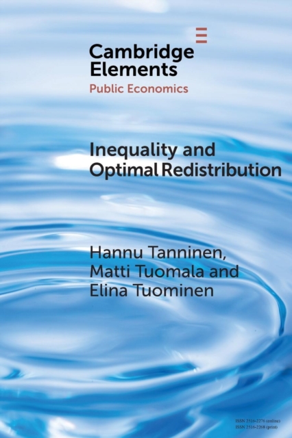 Inequality and Optimal Redistribution, Paperback / softback Book