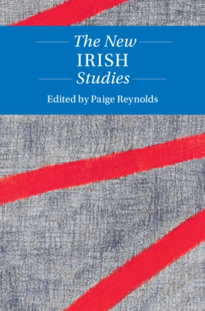 The New Irish Studies, Hardback Book