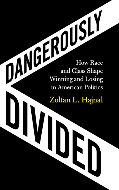 Dangerously Divided : How Race and Class Shape Winning and Losing in American Politics, Hardback Book