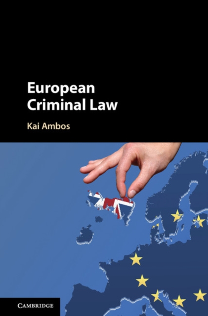 European Criminal Law, EPUB eBook