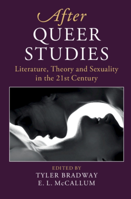 After Queer Studies : Literature, Theory and Sexuality in the 21st Century, EPUB eBook