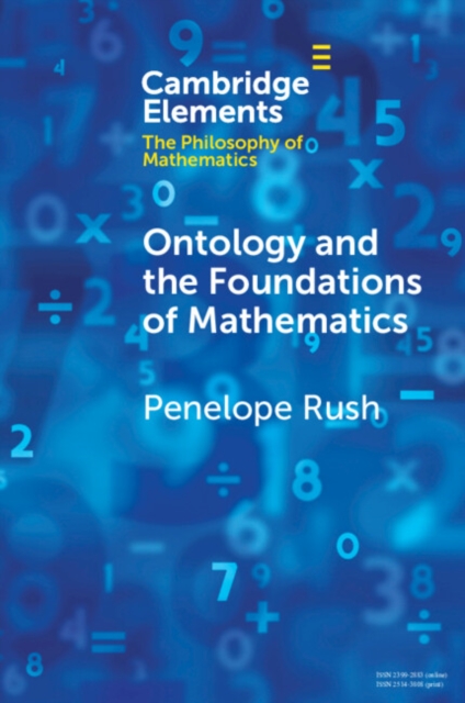Ontology and the Foundations of Mathematics : Talking Past Each Other, PDF eBook