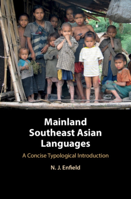 Mainland Southeast Asian Languages : A Concise Typological Introduction, PDF eBook