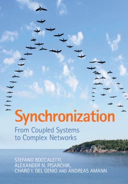 Synchronization : From Coupled Systems to Complex Networks, EPUB eBook