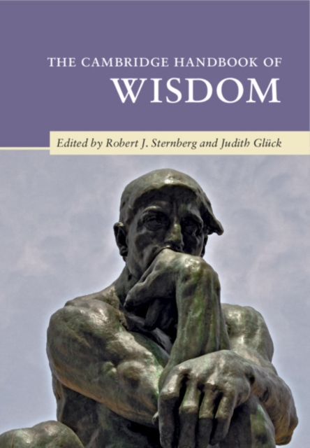 The Cambridge Handbook of Wisdom, Paperback / softback Book