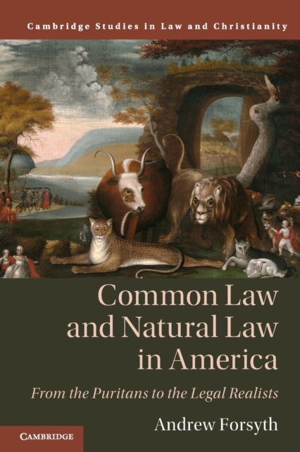 Common Law and Natural Law in America : From the Puritans to the Legal Realists, Paperback / softback Book