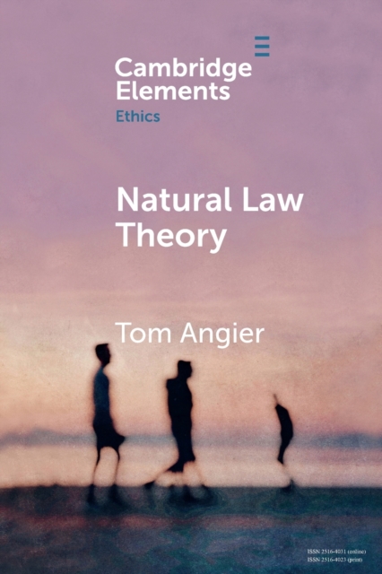 Natural Law Theory, Paperback / softback Book