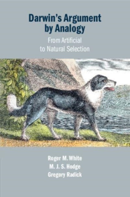 Darwin's Argument by Analogy : From Artificial to Natural Selection, Paperback / softback Book