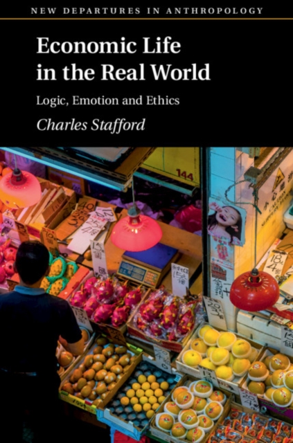 Economic Life in the Real World : Logic, Emotion and Ethics, Paperback / softback Book