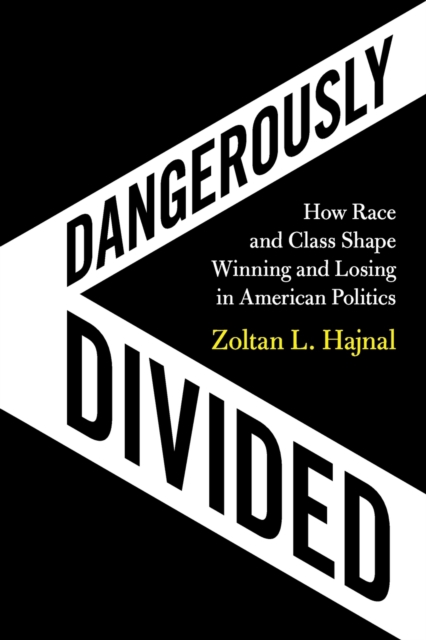 Dangerously Divided : How Race and Class Shape Winning and Losing in American Politics, Paperback / softback Book