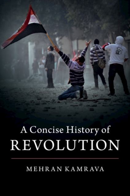 A Concise History of Revolution, Paperback / softback Book