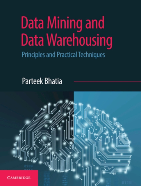 Data Mining and Data Warehousing : Principles and Practical Techniques, Paperback / softback Book