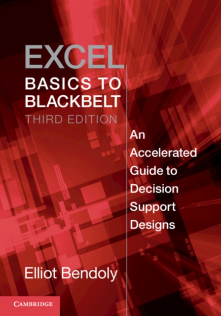 Excel Basics to Blackbelt : An Accelerated Guide to Decision Support Designs, Paperback / softback Book