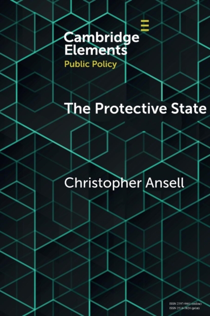 The Protective State, Paperback / softback Book