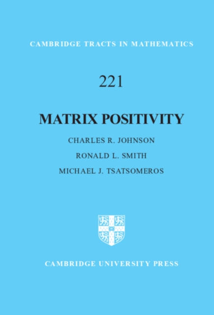 Matrix Positivity, EPUB eBook