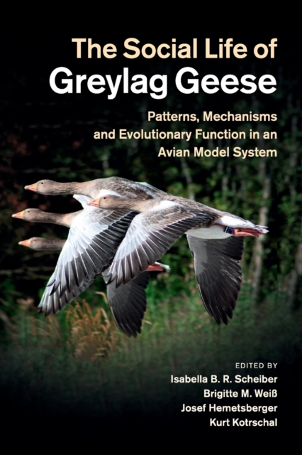 The Social Life of Greylag Geese : Patterns, Mechanisms and Evolutionary Function in an Avian Model System, Paperback / softback Book